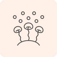 Stylized illustration of spores and fungi.
